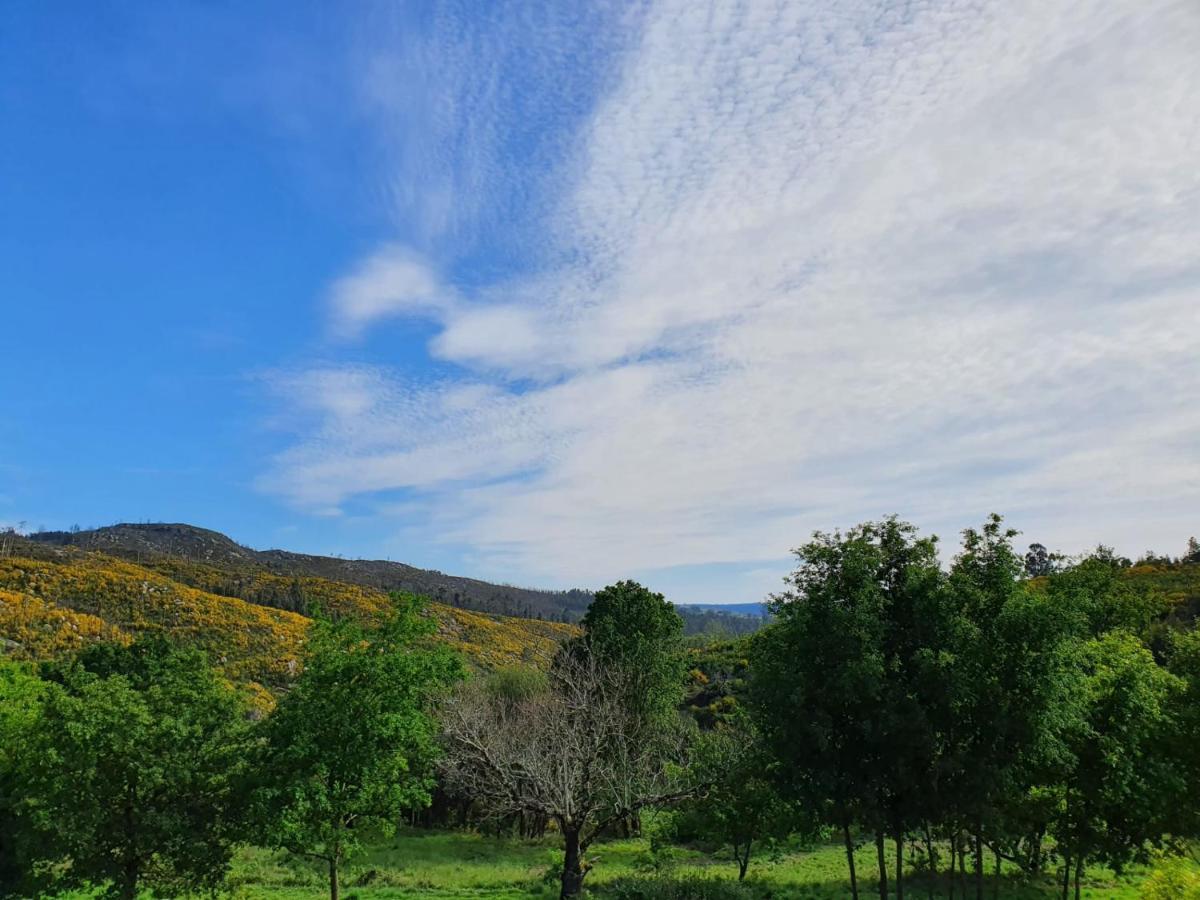 MoesQuinta De Cerdeiro别墅 外观 照片