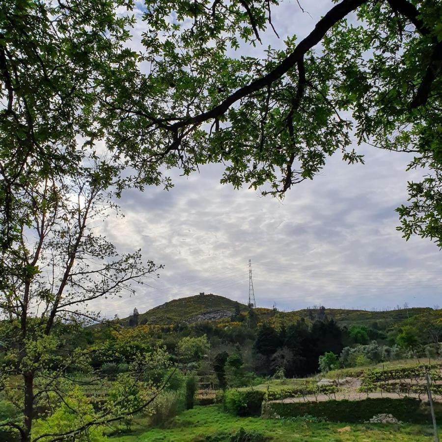 MoesQuinta De Cerdeiro别墅 外观 照片